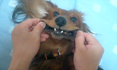 060527_0727〜0001.jpg